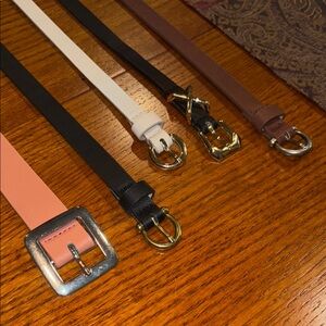 Set of Stylish Belts in Various Colors